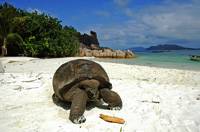 Praslin Seychelles
